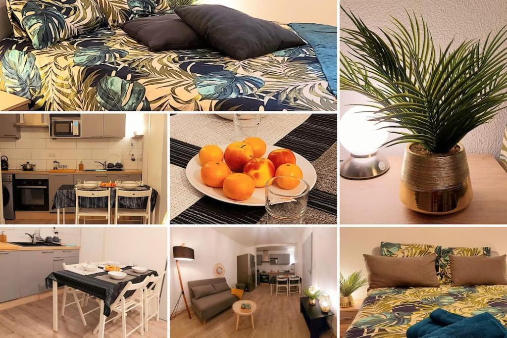 Zenith - Cartoucherie - Purpan Apartment Toulouse Ngoại thất bức ảnh